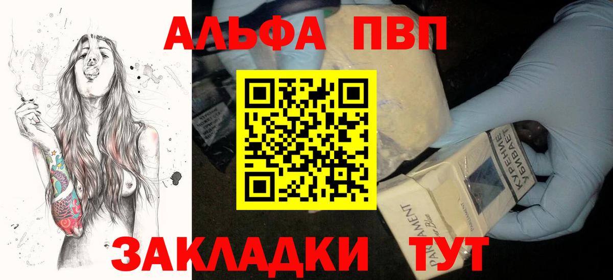 A-PVP СК Нижневартовск