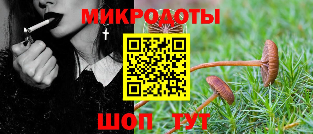 Галлюциногенные грибы Psilocybine cubensis  Вход с VPN  Нижневартовск 